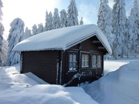 Wir fertigen Ihnen alle Blockbohlenhäuser für höchste Schneeelastgrenzen, wie hier im Oberharz